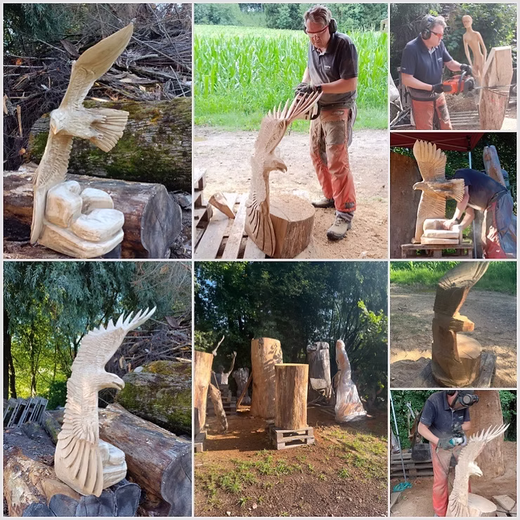 Collage, Adler, Skulptur, Holzschnitzen