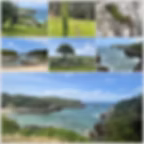Landschaft Nordspanien, Jakobsweg, Camino del Norte, San Vicente, Pedueles, Meer, Küste, Echse