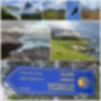 Landschaft Nordspanien, Jakobsweg, Camino del Norte, Castro, Laredo, Adler, Spanische Küste, ,