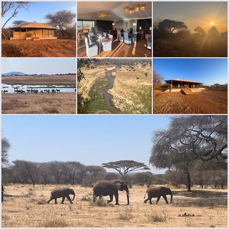 Tarnagire Ntionalpark, Tansania, Safari, Tented Lodge, Elefanten