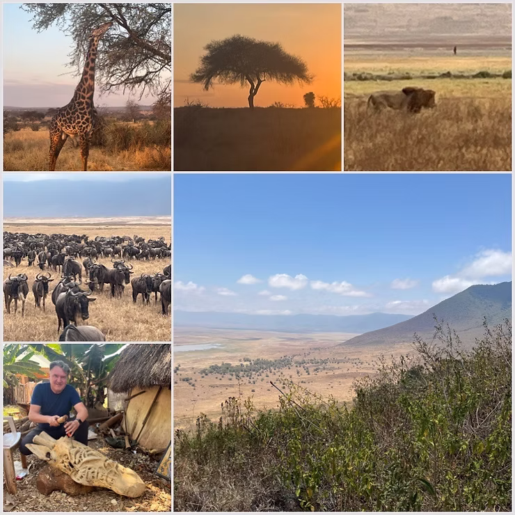 Ngorongoro Krater, Safari, Tiere, Afrika, Tansania, Gnus , Zebras, Löwe