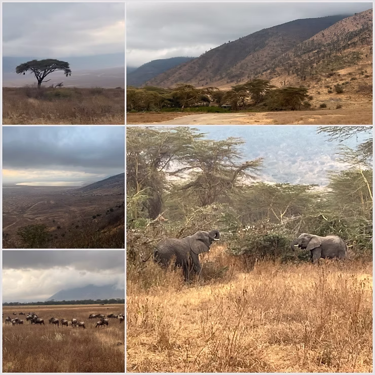Ngorongoro Krater, Tansania, Safari, Giraffe, Elefanten