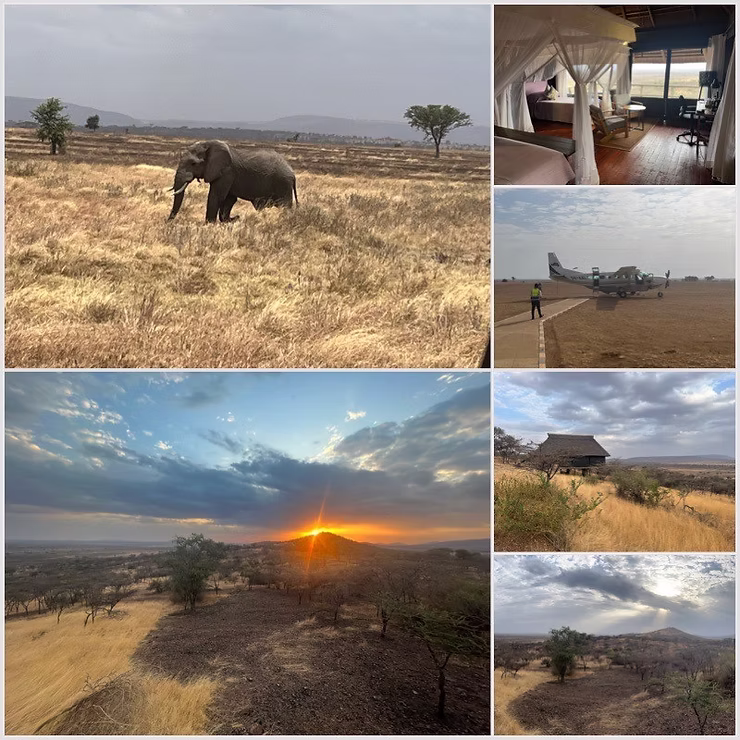 Seringeti, Elefant, Sonnenuntergang Serengeti, Safariflieger, Staubpiste, Lahia Lodge