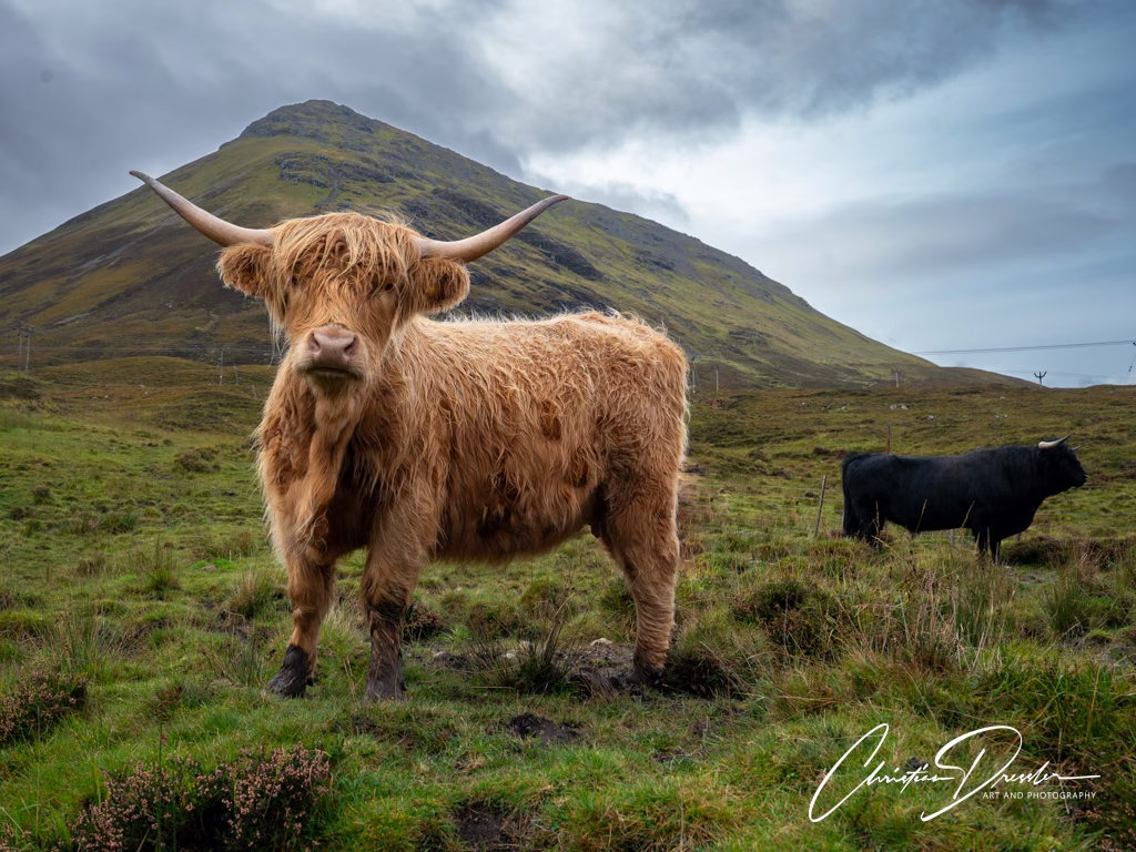 Schottland · Fotografie 22