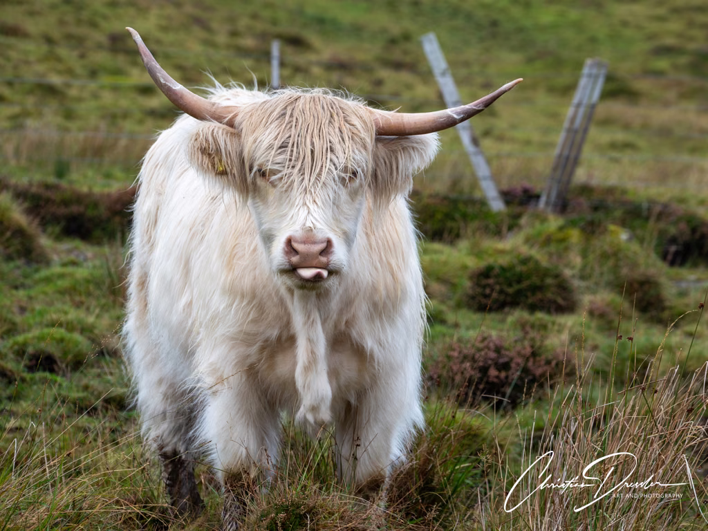 Schottland · Fotografie 33