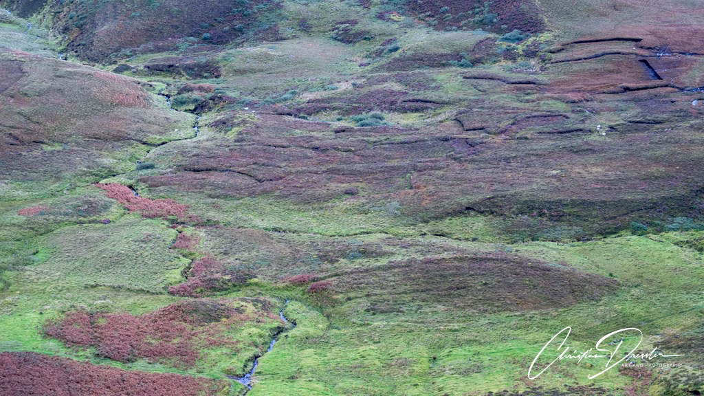 Schottland · Fotografie 45